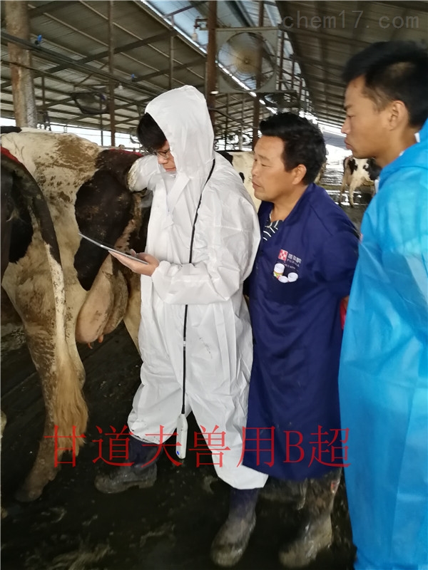 兽用b超机怎么测试猪怀孕,兽用b超机如何看母猪怀孕