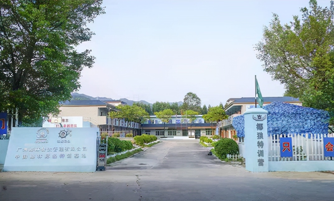 椰林2号海鲜码头花都店,英德椰林海鲜码头6号店