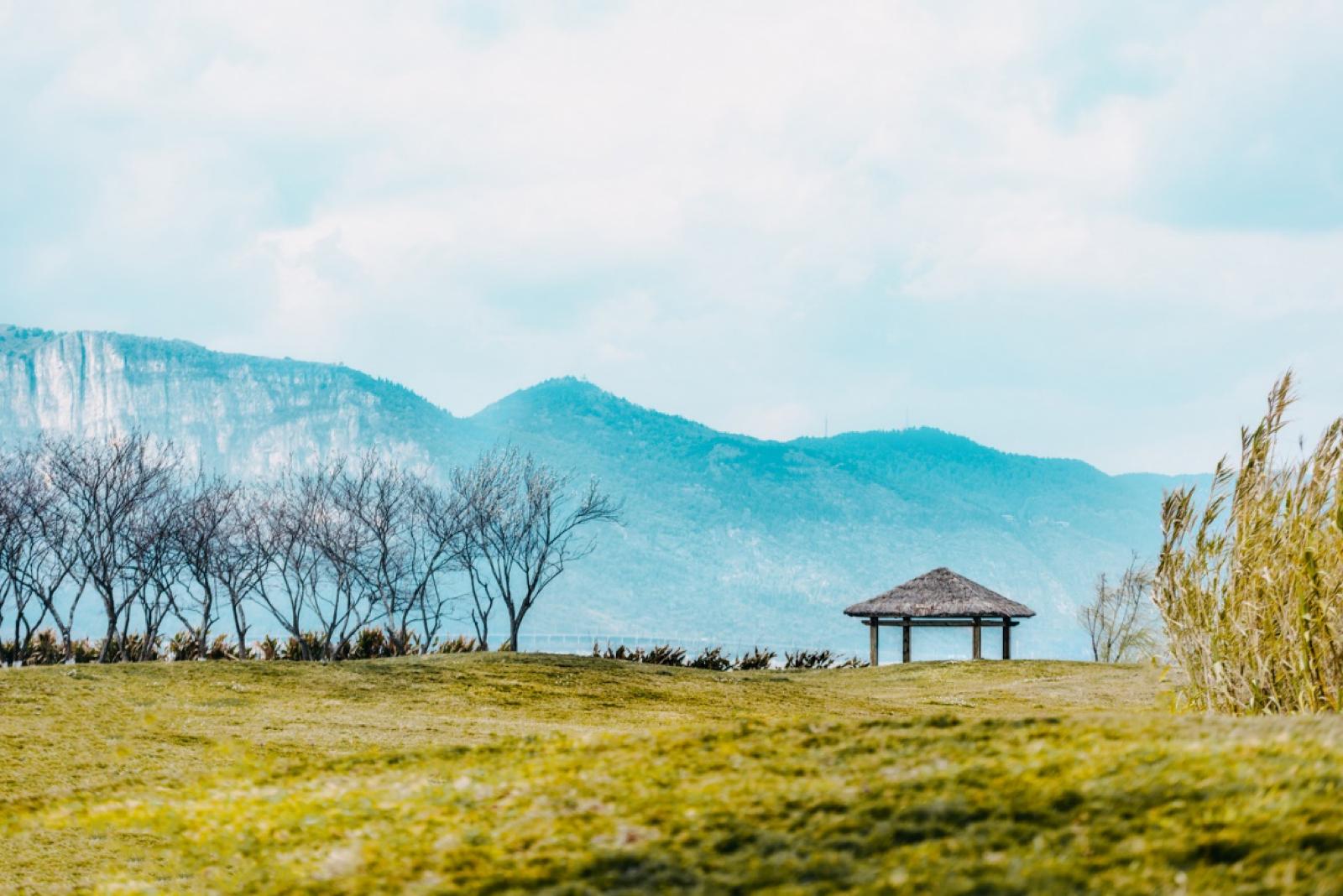 云南昆明最新攻略,昆明旅游不踩坑攻略