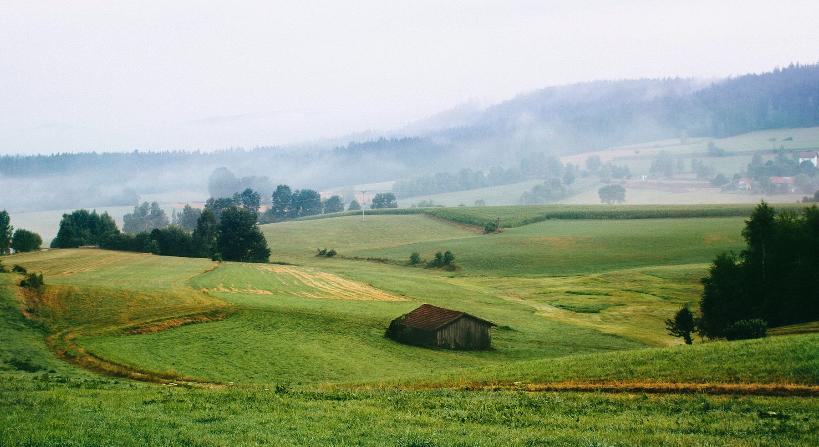 法国圣女贞德从火刑台上逃走了吗,圣女贞德为什么被处死