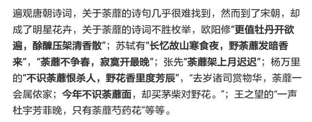 荼蘼不争春寂寞开最晩彭连熙图说十二月花神