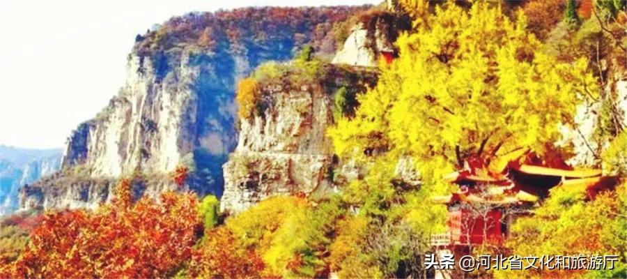 “万里长城，金山独秀”的秘密