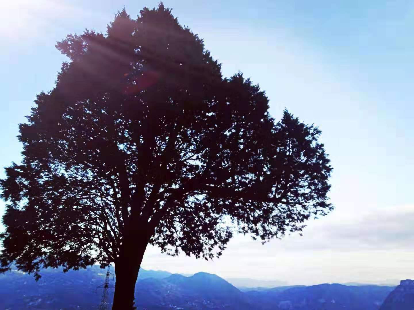 当你感到绝望的时候做什么动作,当你无助绝望的时候你该怎么办