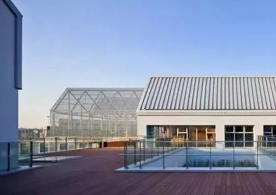 上海的十所顶级国际幼儿园,上海十大最美公办幼儿园