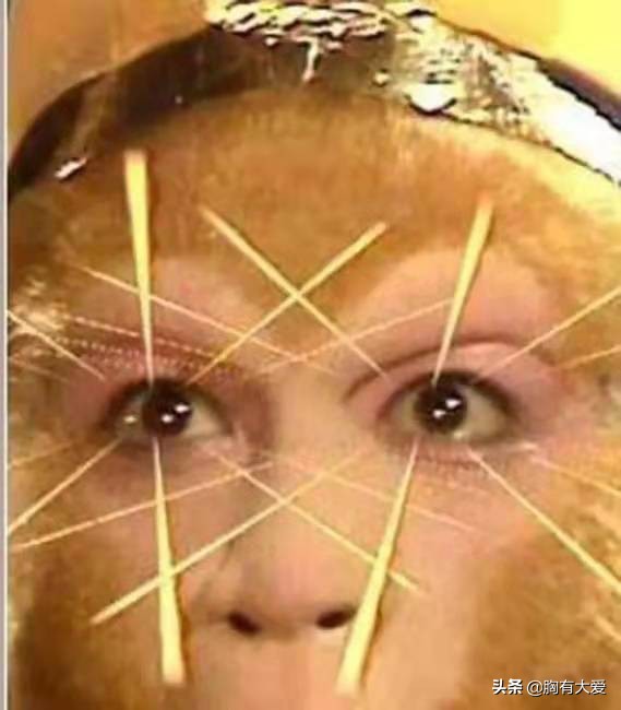 怎么判断肺水肿的轻重,肺肿哪里会疼