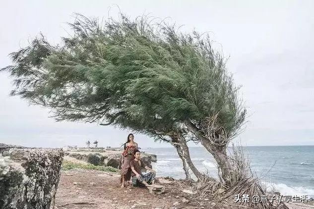 环游世界情侣,环游世界夫妻赚了十个亿