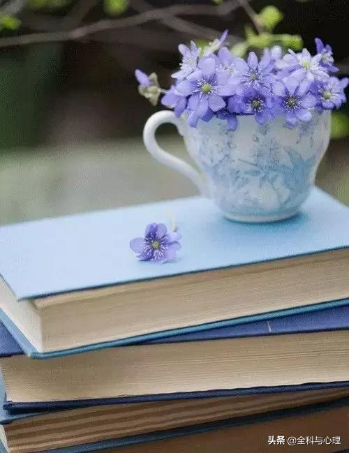 心灵鸡汤正能量工作短句,心灵鸡汤人生感悟正能量短句合集