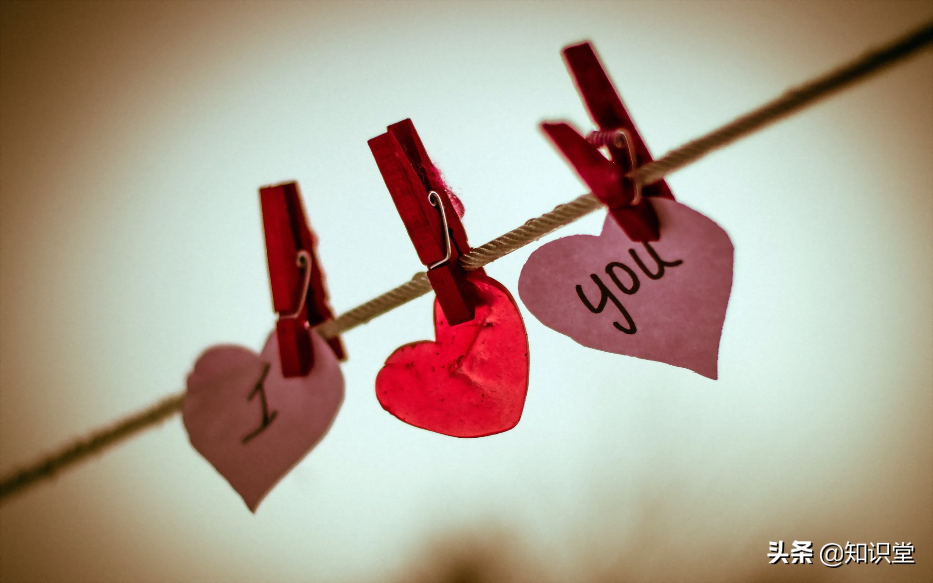 520祝福语句句暖心,520祝福语表达爱意句句温馨美好