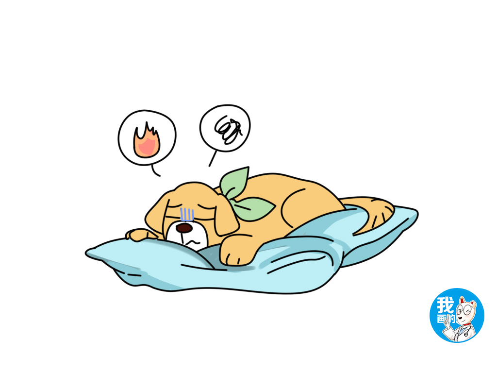 养母狗的十大注意事项,为什么不建议新手养母狗