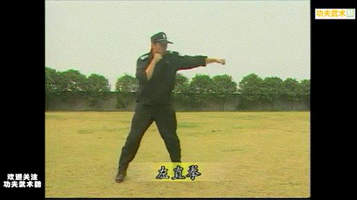 中国特警格斗详细教学视频,特警拳教学视频
