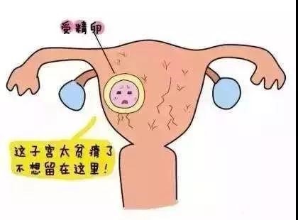 排卵期子宫内膜厚12mm易受孕吗,绝经半年子宫内膜厚度多厚正常