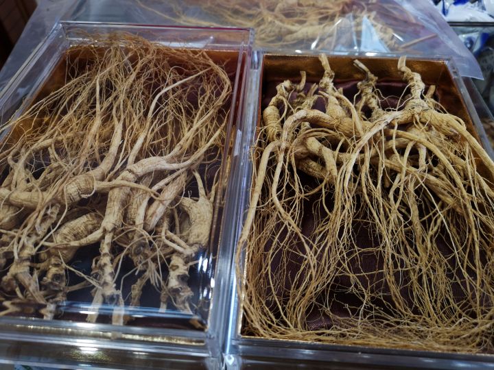 人参为什么容易发霉,干人参怎么存放不生虫子