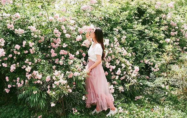 满架蔷薇一院香,开到荼靡花事了