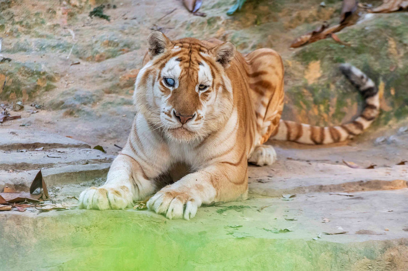 寒假亲子游推荐广东,广东自驾亲子游十大排名