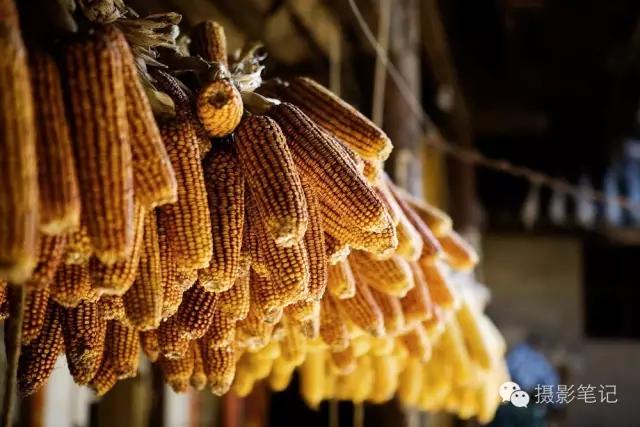 6个标准训练你成为强者,6个高效训练动作