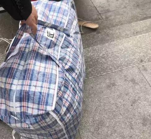 以青春为名迎伟大征程,以青春之名奋进