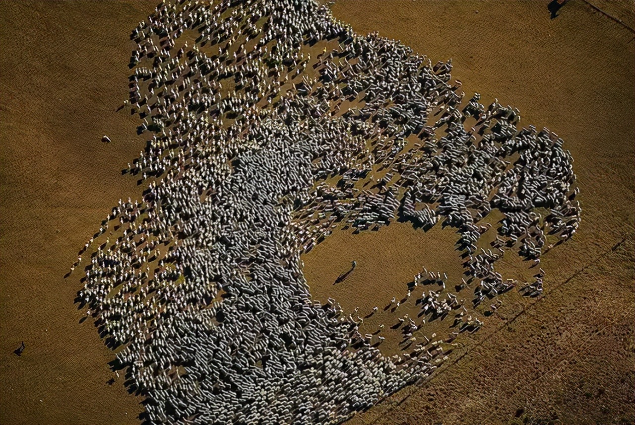 为作品赋予高级感的7种拍摄技巧,如何才能拍出十分奇怪的拍摄效果