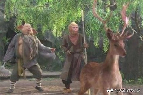 历代白毛老鼠精,金鼻白毛老鼠精的来历和法术