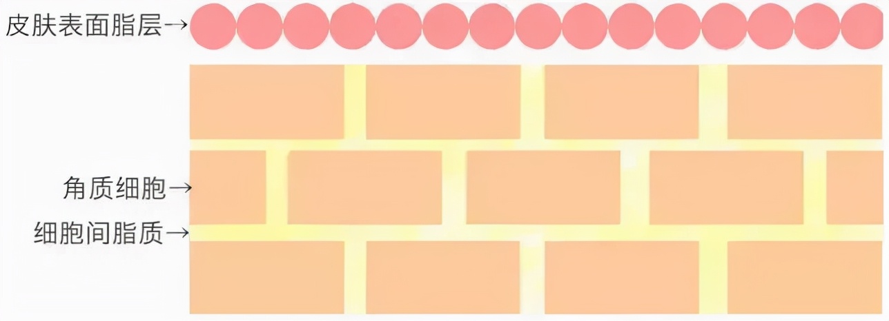 秋天换季过敏小妙招图片,秋天皮肤过敏怎么补水