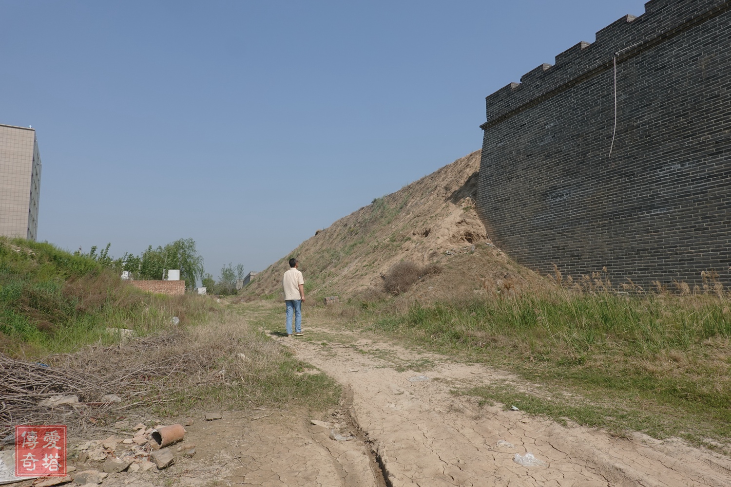 2020年经典电视剧有哪些,2020年将要播出的电视剧有哪些