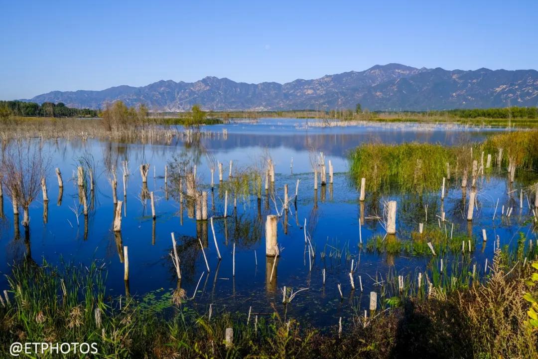 万元左右相机是选单反还是微单,万元以内适合拍妹子的微单