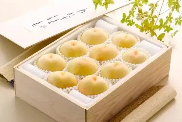 日本农业十大经典精髓,日本农业值得研究的点