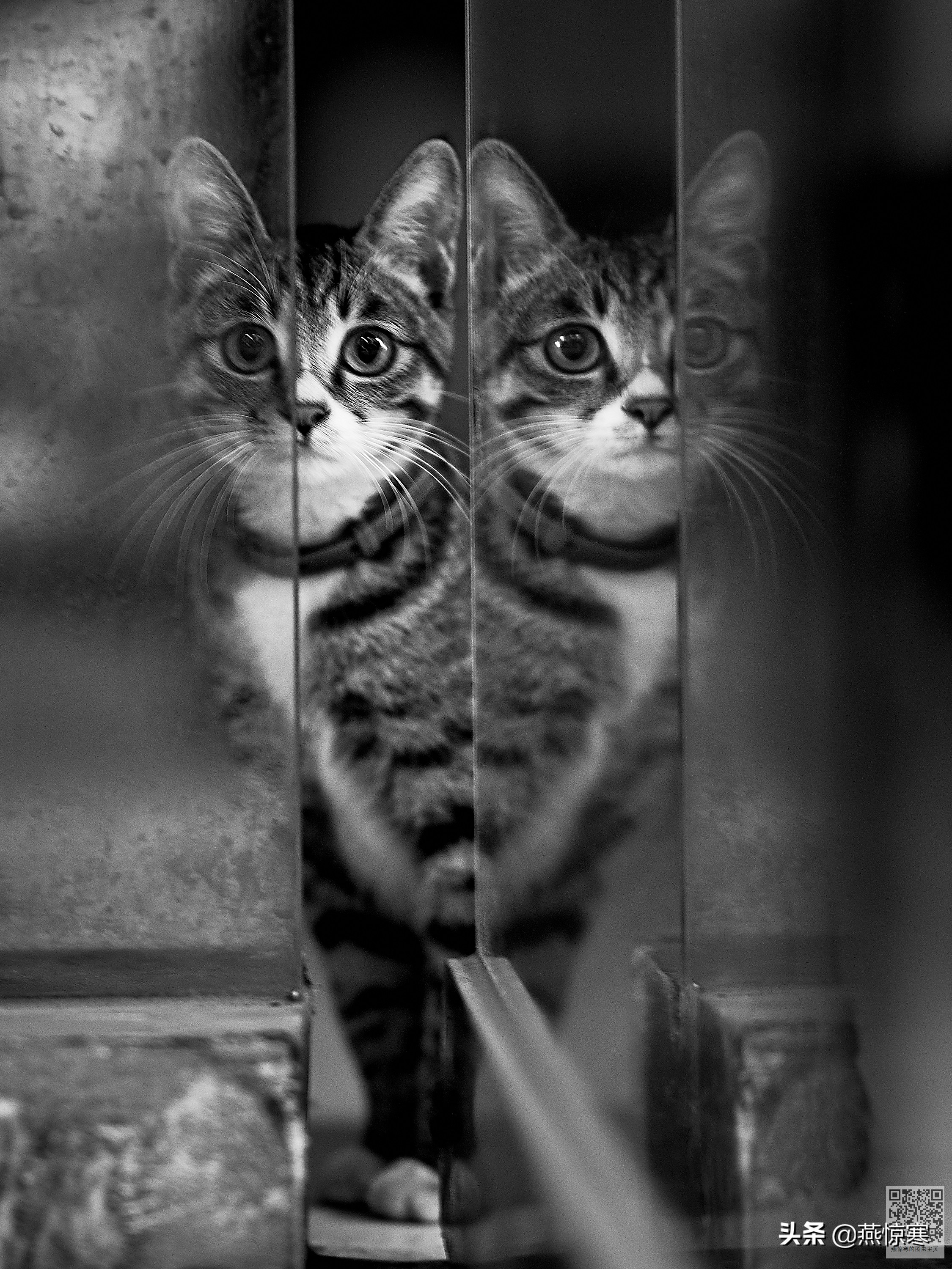 盘点一下我这些年用过的相机,回顾我用过的数码相机