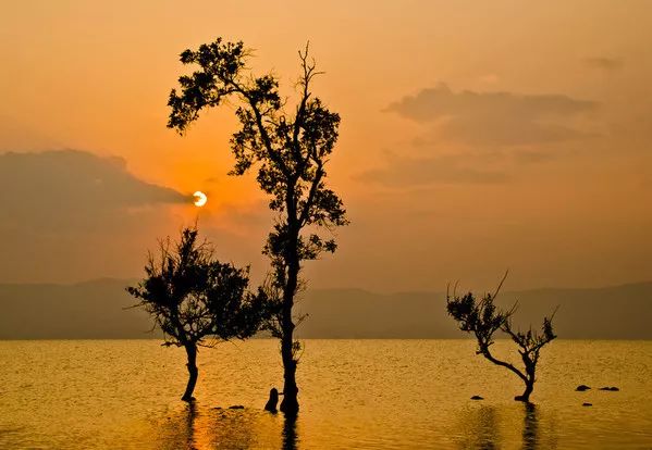 东南亚9大奇葩水果，第3个在中国是爆款！