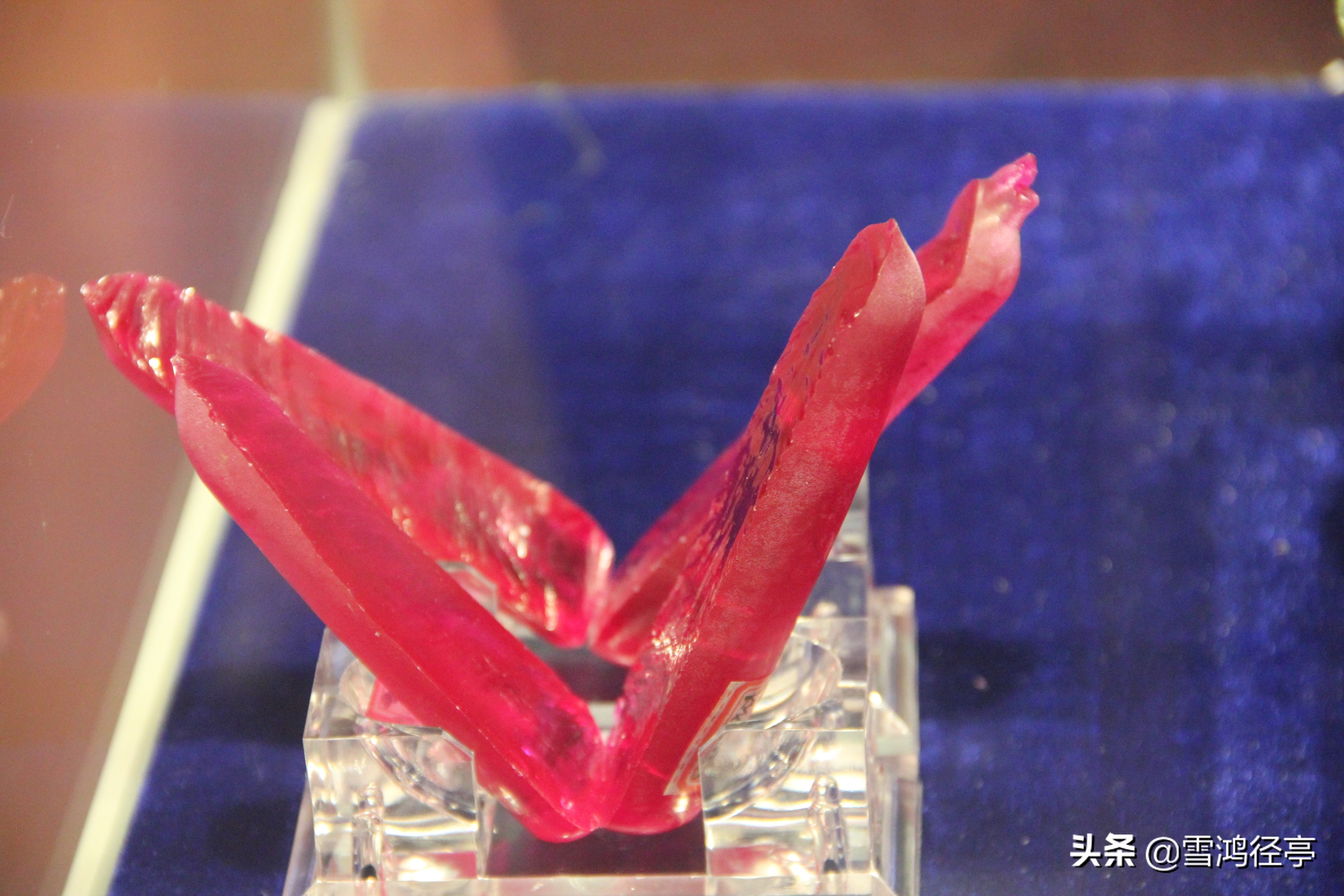 112首诗词中,这些词语您家孩子理解对了吗?(三)