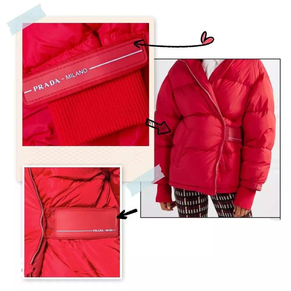 天一凉就穿棉袄,大鹅羽绒服和加拿大鹅羽绒服区别