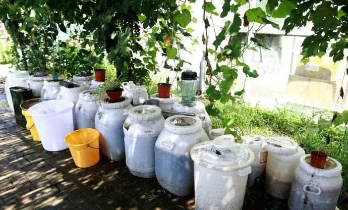 农用酵素肥的使用方法,酵素肥适合哪些农作物