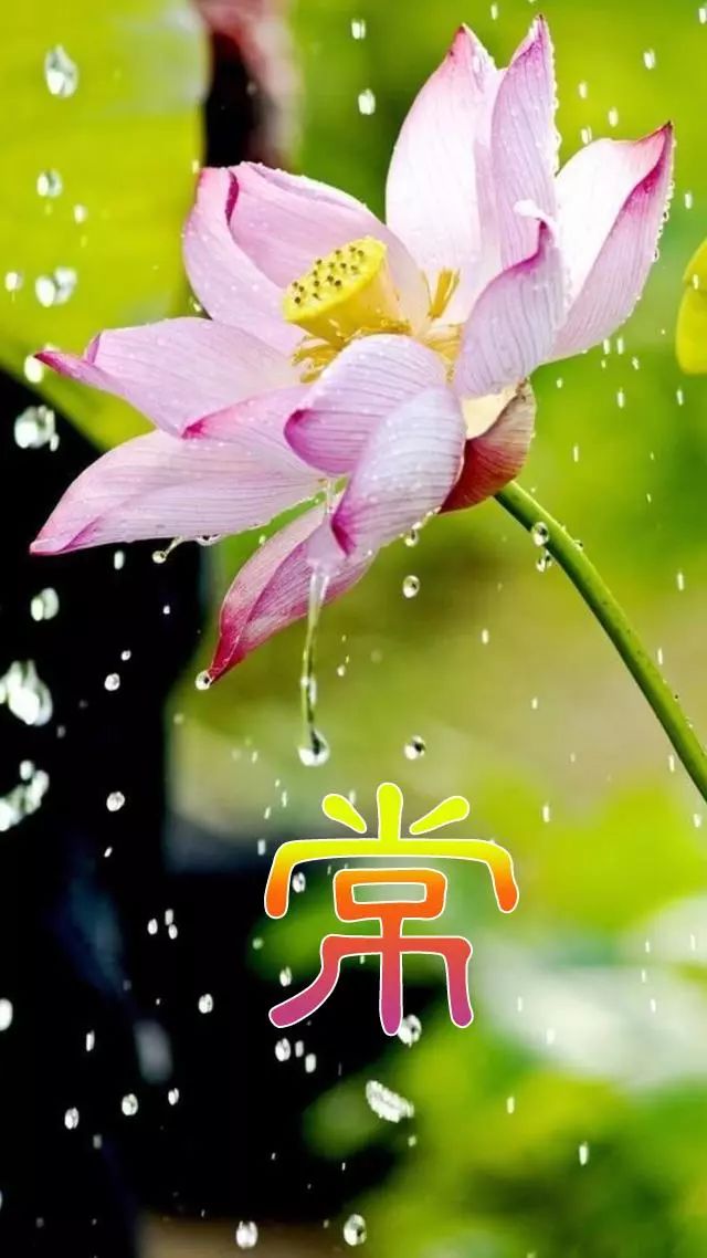 珠宝翡翠艺术字体,翡翠字体图片欣赏