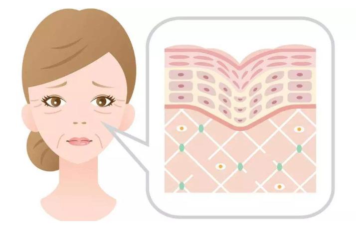 怎么淡化法令纹的产品推荐,抗皱淡化法令纹最好的产品