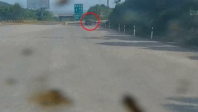 高速公路走错路倒车怎么处罚,高速公路走错路怎么解决