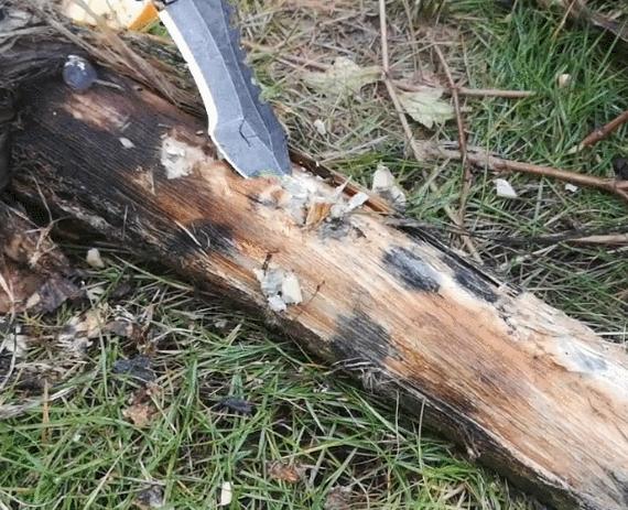 小米有品800多品质能抢到茅台吗,小米有品5.1杜比