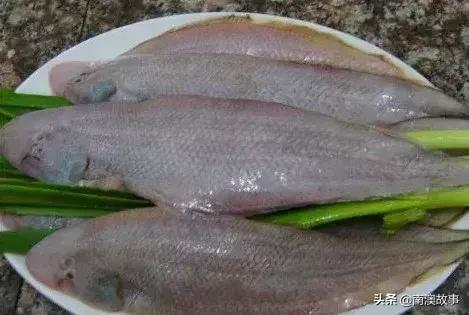 南澳渔民出海最常见的50种海鱼，都吃过，你就能退休了！