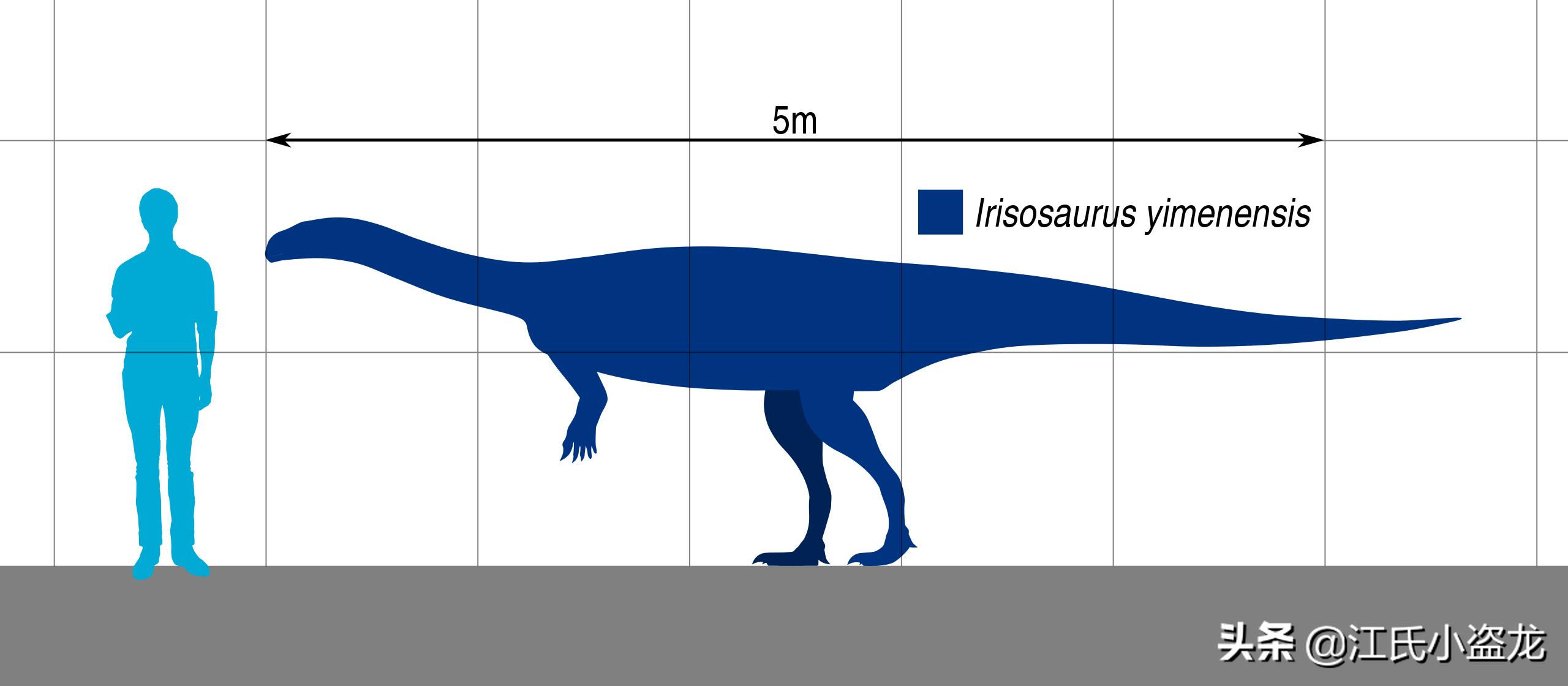 古生物时代有多少种恐龙,人类已经发现了多少恐龙种类