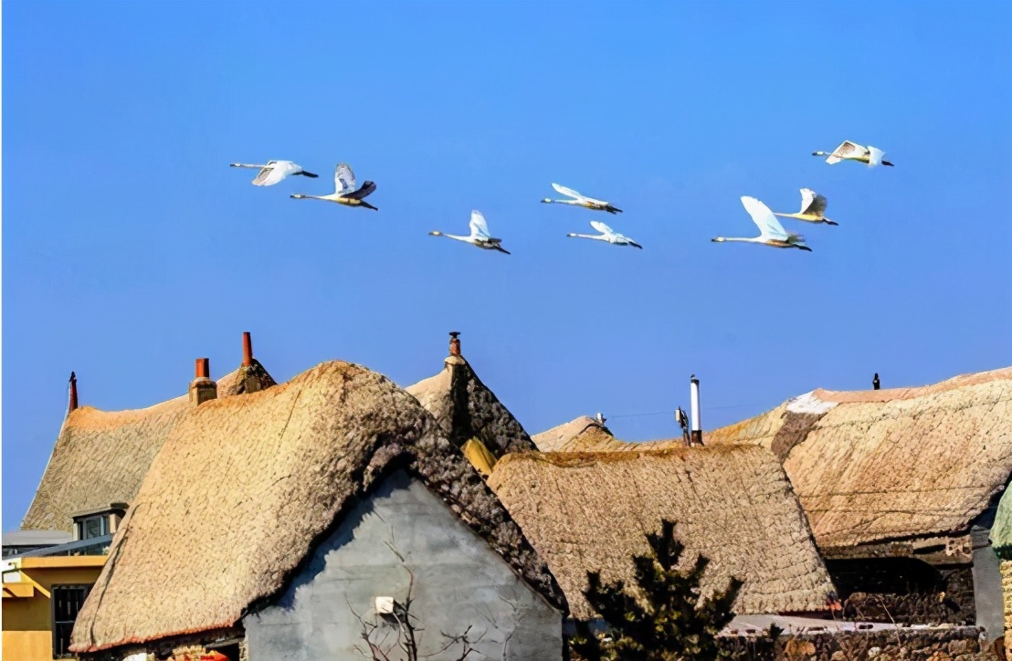 山东荣成旅游最新视频,游遍威海