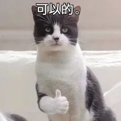 硕转博和考博区别,硕转博意味着什么