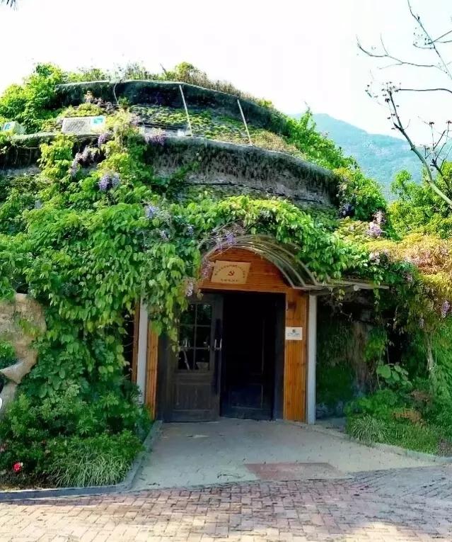 在温州打工感悟,在温州打工的女生