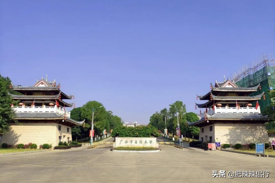 中国最美大学广西大学,广西十大最美校园大学有哪些