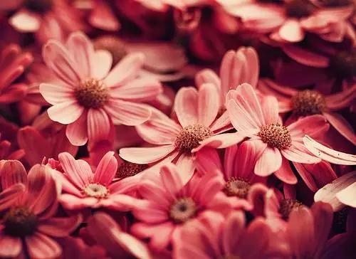 人到中年有什么理由谈自由,中年人谈什么自由