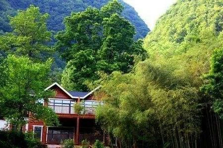 洛阳十大免费避暑景区,洛阳伏牛山生态旅游度假村