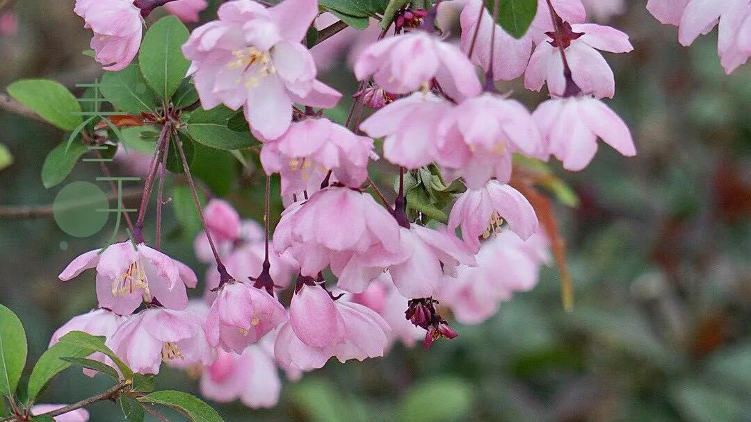 怕麻烦是不是最大的障碍,新概念英语单词速记