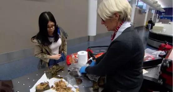 出国被海关劝退护照签证还能用吗,出国被海关劝返签证还能用吗