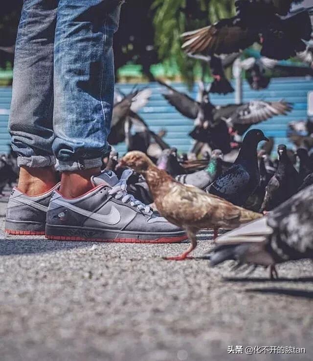 鐩茬洰璺熼鐞冮瀷,鑳′贡璺熼