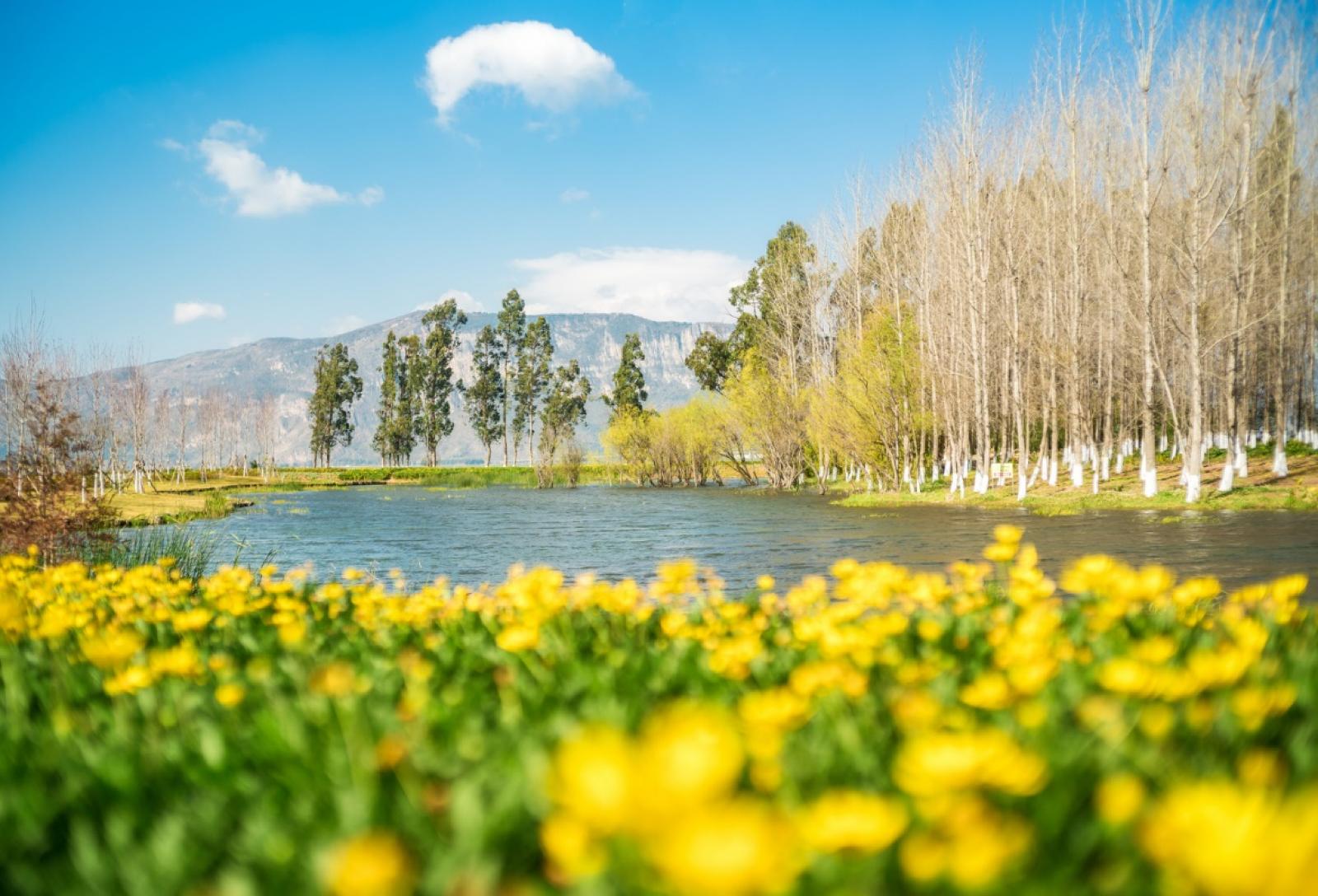 云南昆明最新攻略,昆明旅游不踩坑攻略