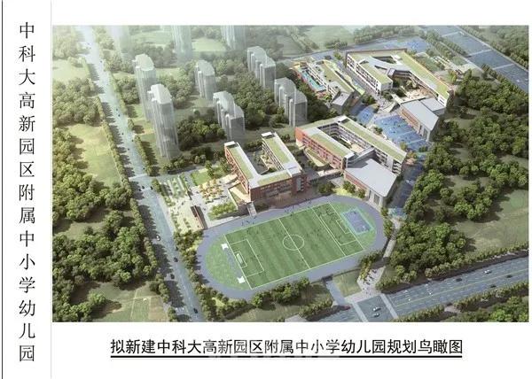 高新利好,高新发展最新利好消息