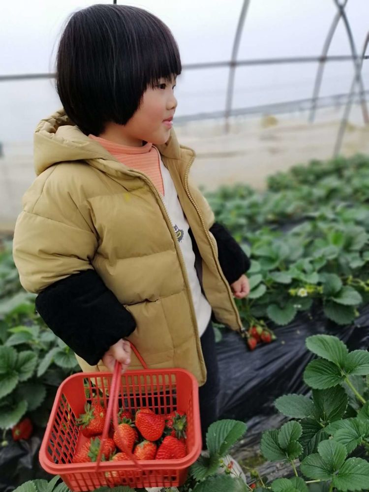 在家发明漏斗的小妙招,宅家带娃有哪些妙招