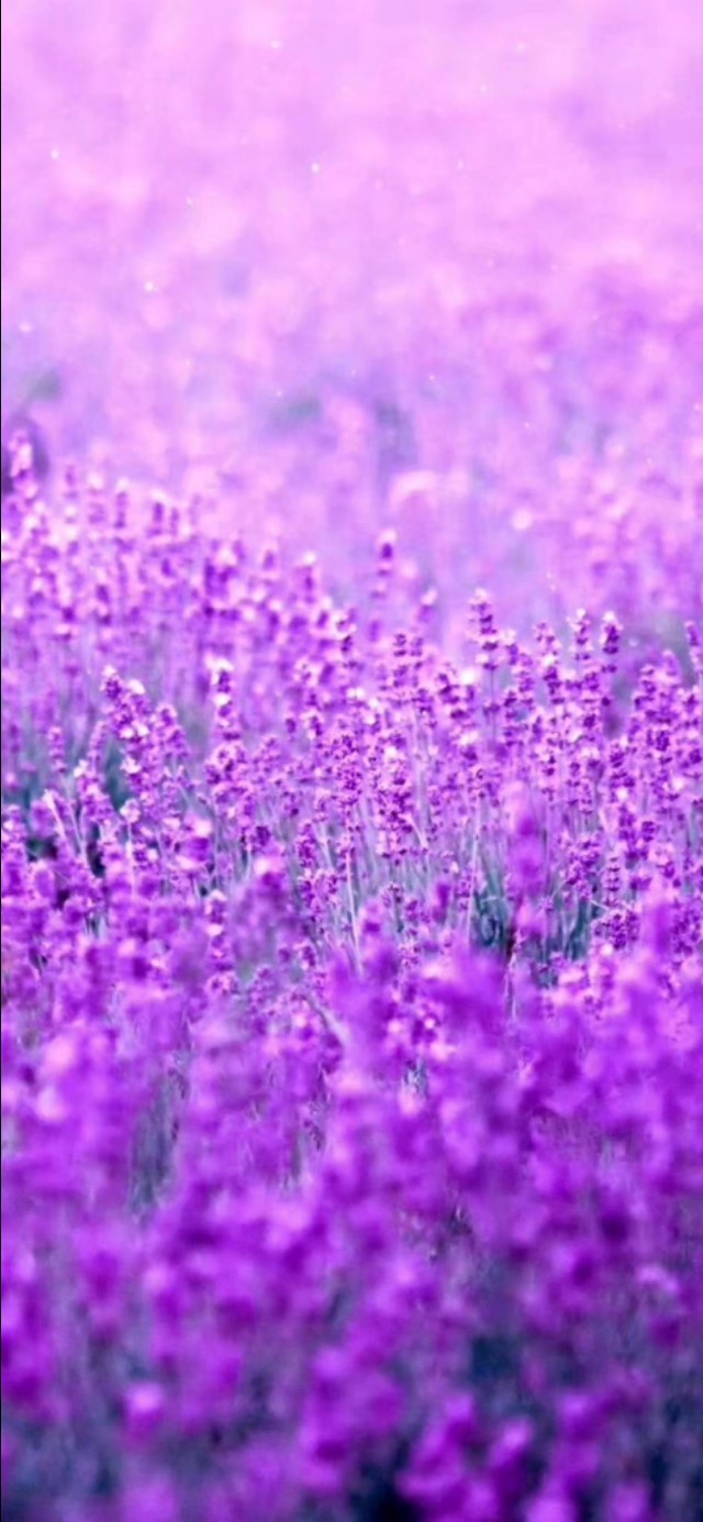 小故事阅读理解,文言文实词小故事详解